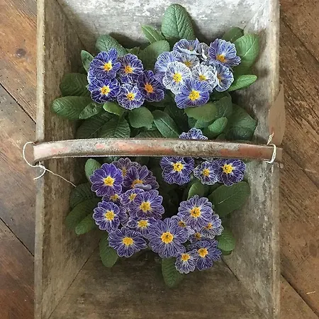 The Old Beach Cottage, Achill